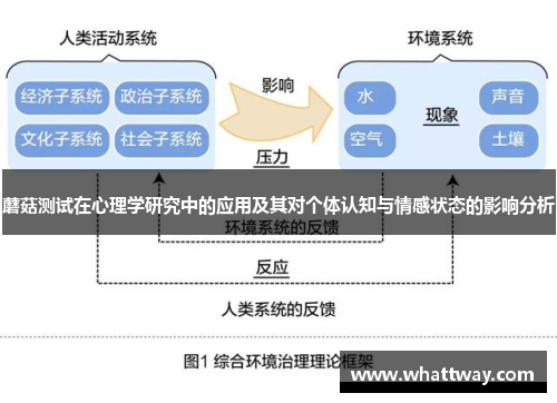 蘑菇测试在心理学研究中的应用及其对个体认知与情感状态的影响分析