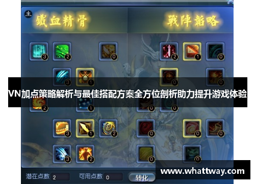 VN加点策略解析与最佳搭配方案全方位剖析助力提升游戏体验